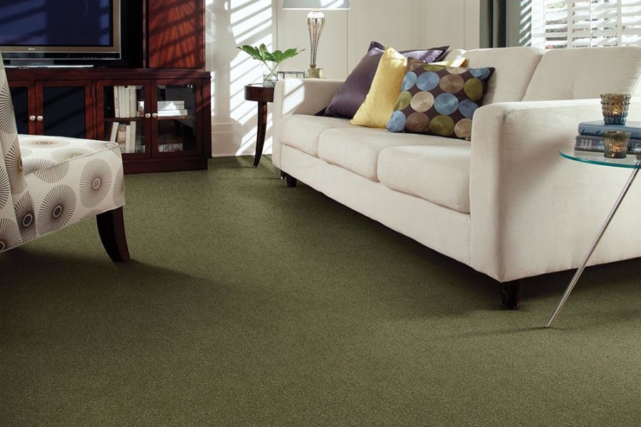Green carpet in a living room