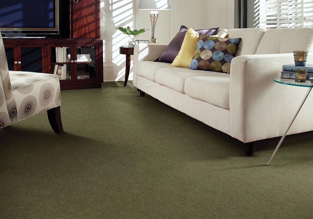 Green carpet in a living room